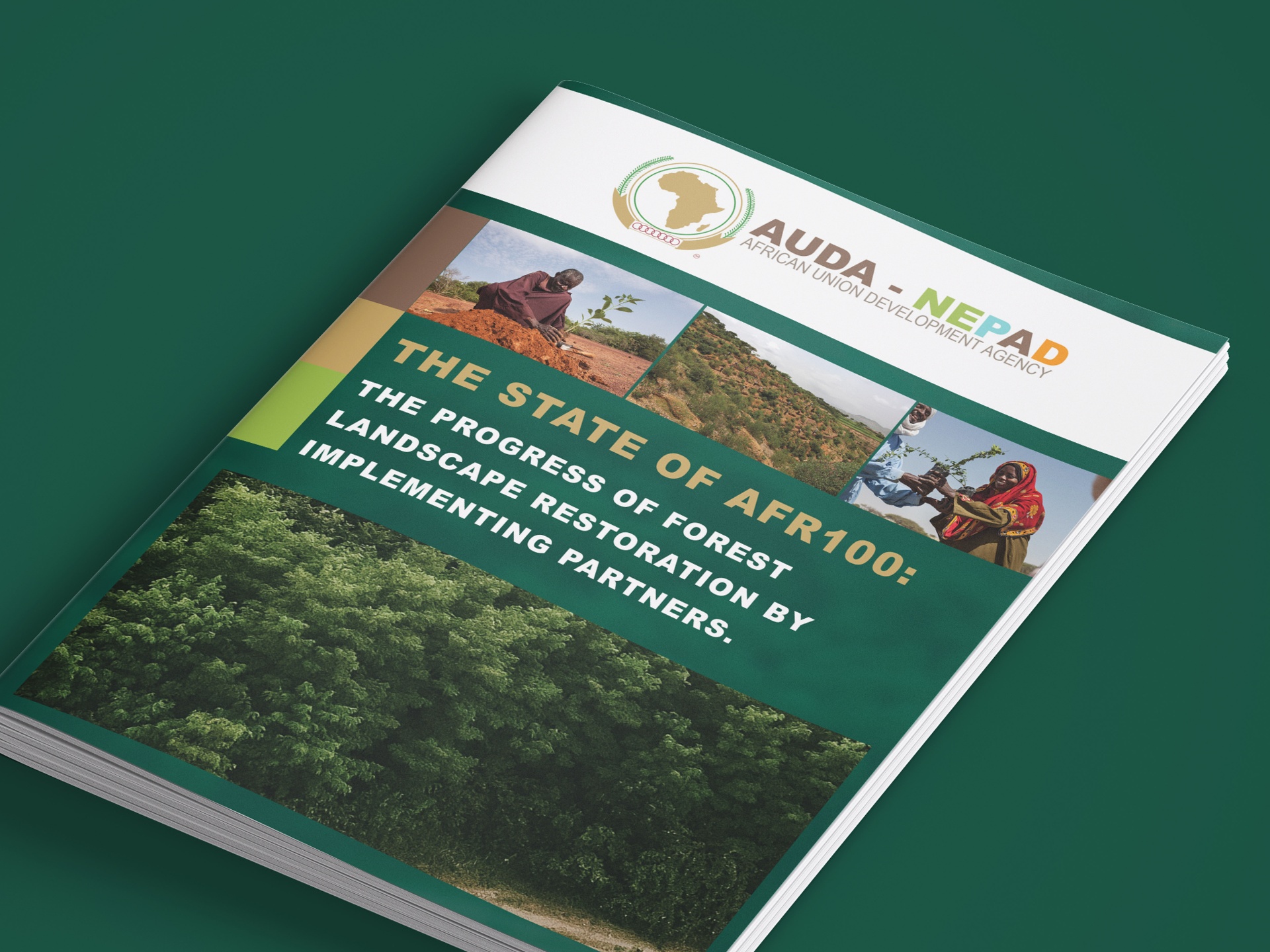 AUDA-NEPAD Report